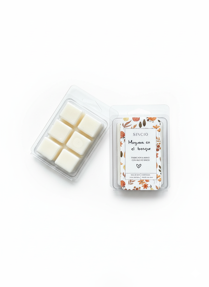 Melted Hoguera en el bosque